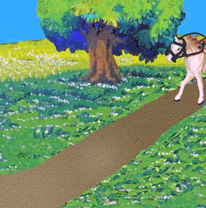 Liens utiles : Agenda des sorties et lexiques des pas de&nbsp;danse