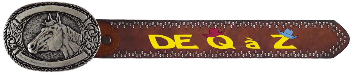 NOS DANSES de Q à&nbsp;Z